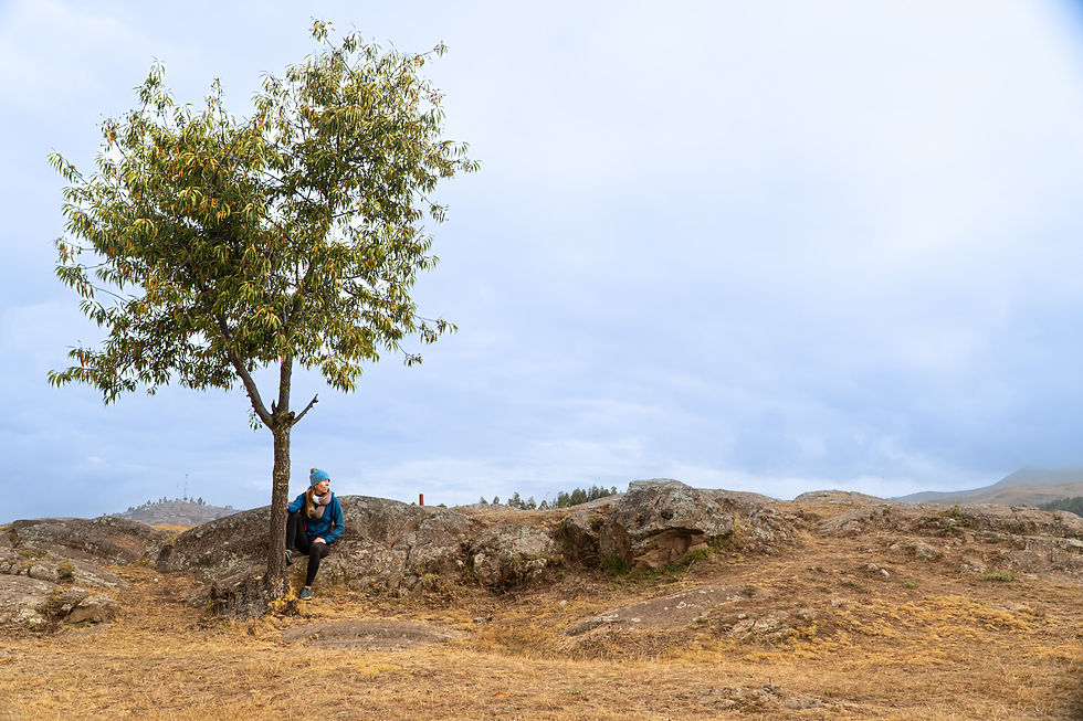 Looking on a rock.jpg