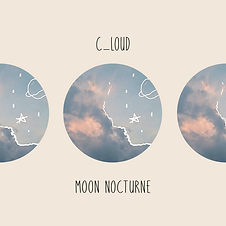 moonnocturne (1).png
