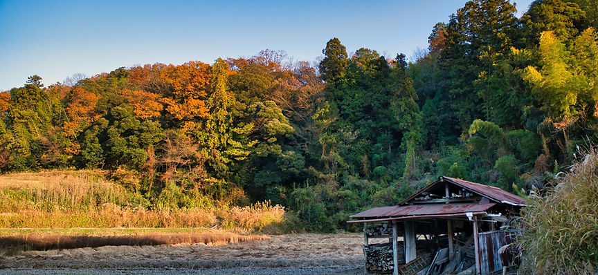 風景2.jpg