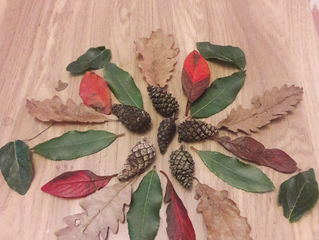 Team 1 Home and School Learning Monday 1.2.21