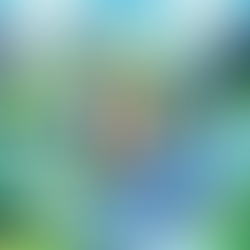 The Energy Revolution Powering Bitcoin Mining