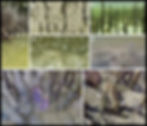 figure 3XFV copy