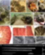 Fig 3 copy