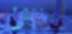 PHOTO-2021-03-20-10-29-13