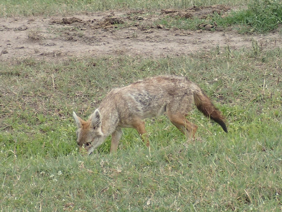 P2161002.JPG