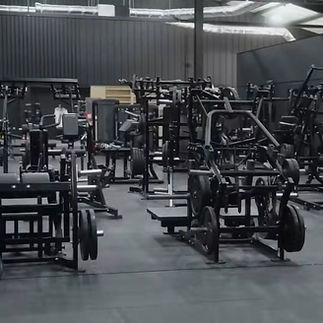 Hammer Belt Squat.jpeg