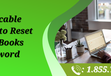 Reset QuickBooks Password
