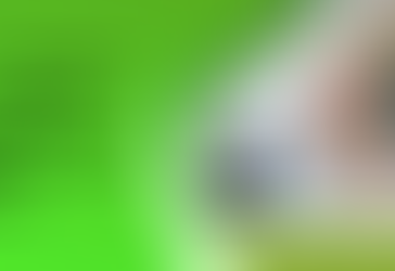 QuickBooks Opens Then Closes Immediately: Fix it Now