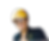 LOLO.png