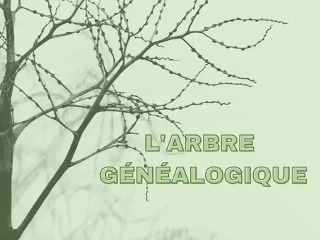 L’arbre généalogique