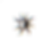 logoSunglitch.png