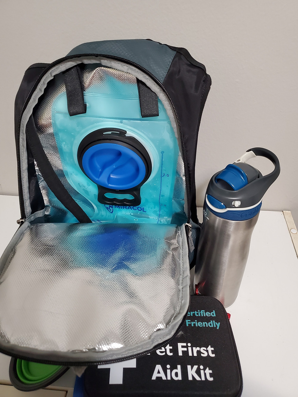 What to carry while walking dogs