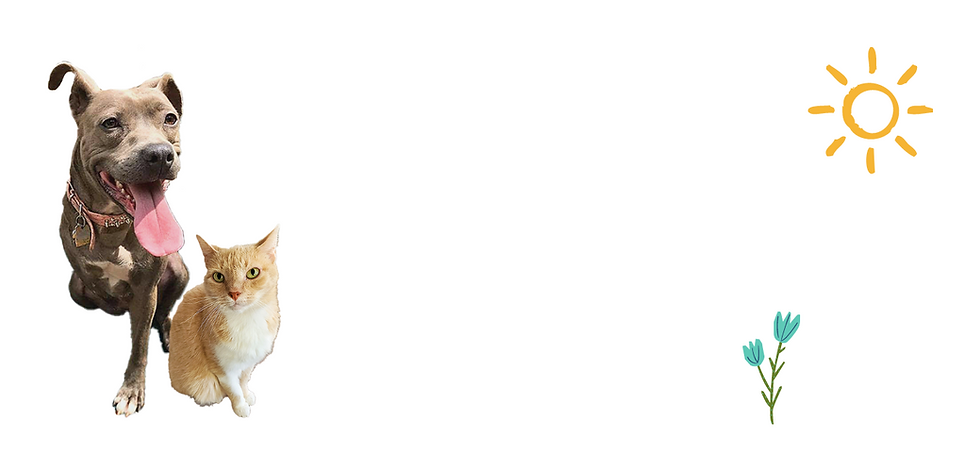 Untitled design (1).png