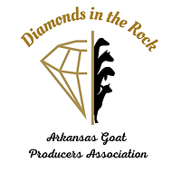 Show Logo (2).png