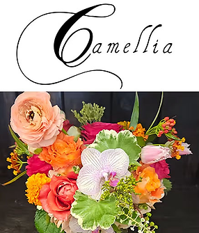 camilia.png