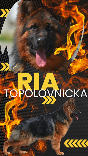 Ria Topolovnicka