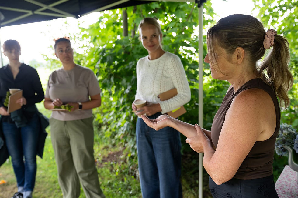 Groupe de femmes entrepreneures pendant l'activité Classe Verte avec Nataly Riverin