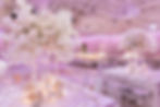 IMG_5803.jpeg