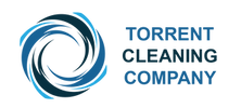 Torrent Cleaning Company Other Logo