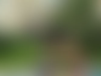 פרק 27 :חברים