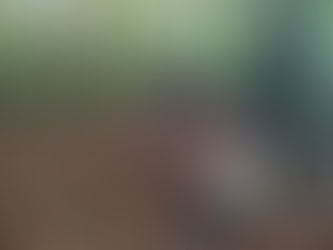 פרק 7: הולך להיות גיבור