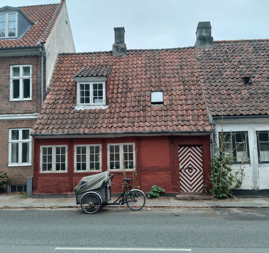 פרק 26 : מסע גינון אנתרופולוגי