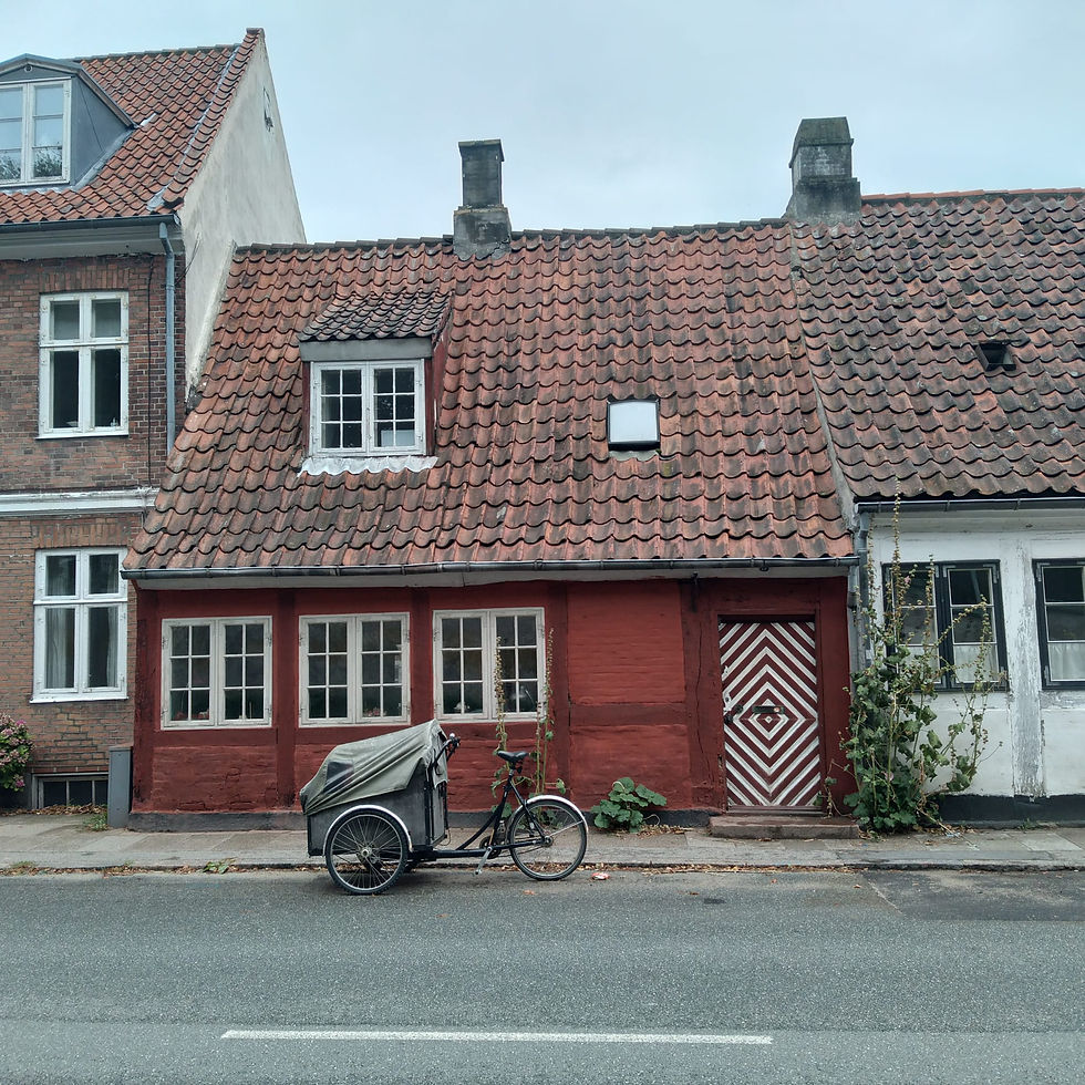 פרק 26 : מסע גינון אנתרופולוגי