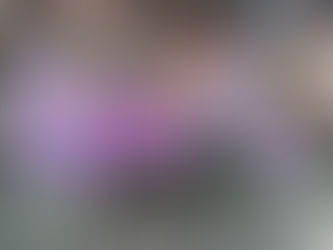 פרק 17: סיור בפרברים