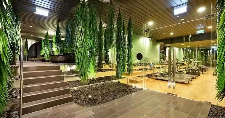 a0610135-50a1-4aaa-9b4c-de16c7189de1_edi