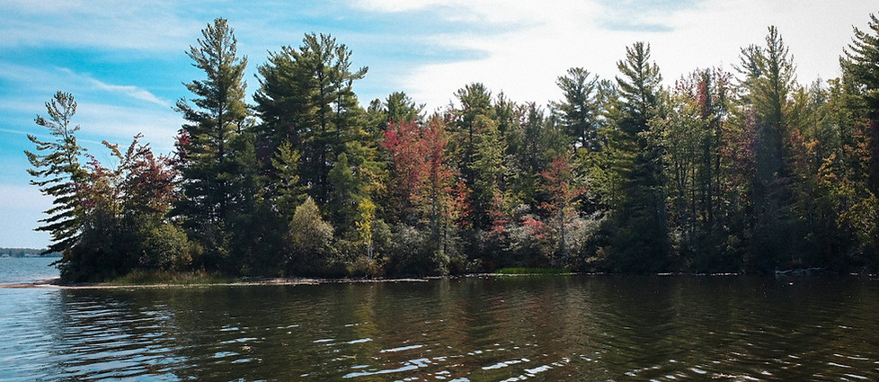 Fall landscape.jpg