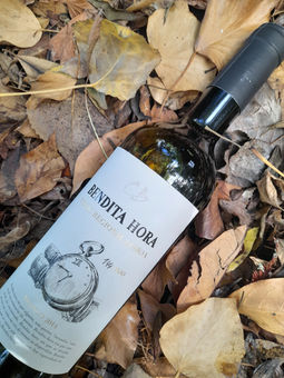 vinho Bendita Hora branco 2014