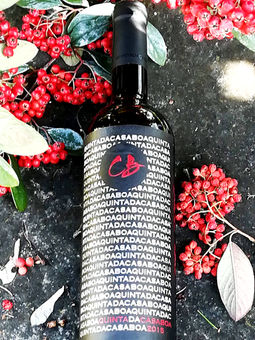 vinho QCB