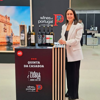 Joana Paes em Valladolid