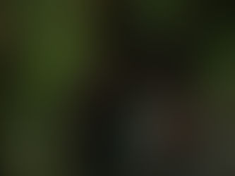 Nord-Kivu : « Binti » le film de l’espoir pour les victimes de violence sexuelle