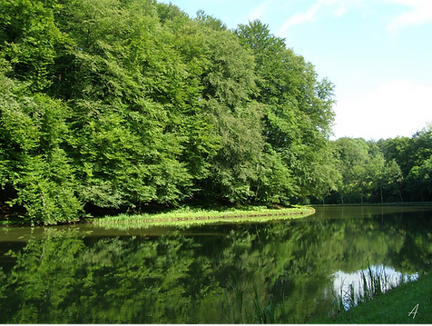 Canal des Vosges