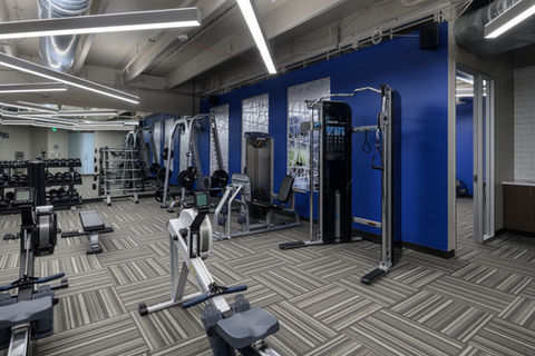 Harlequin Plaza Common Areas