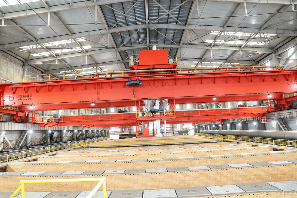 Multifunctional-Bridge-Crane-for-roasting