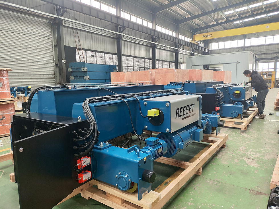 electric-hoist-malaysia-auto-parts-factory