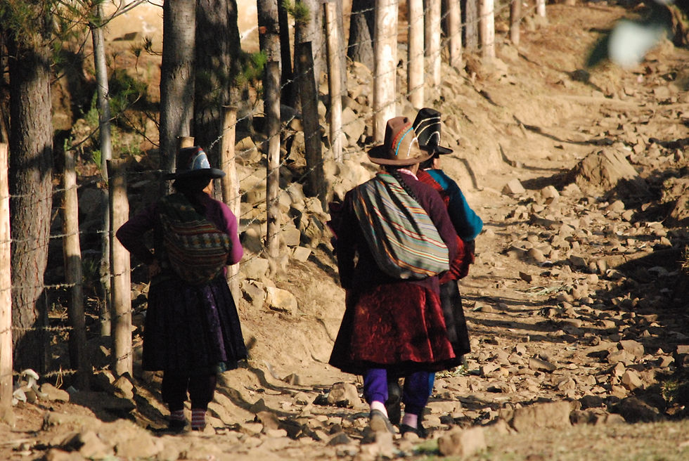 024 - el camino de piedra oggi percorso dai campesinos.JPG