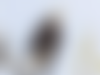 Bald eagles at Standley Lake Regional Park hatch eggs after several unsuccessful breeding attempts