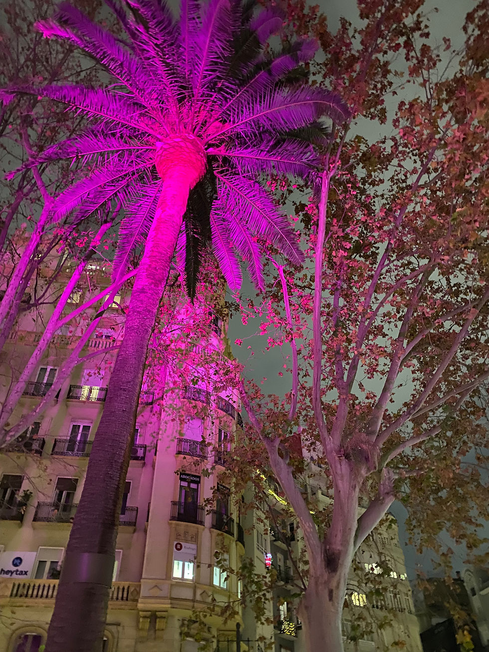 Closing 2025 with Clarity