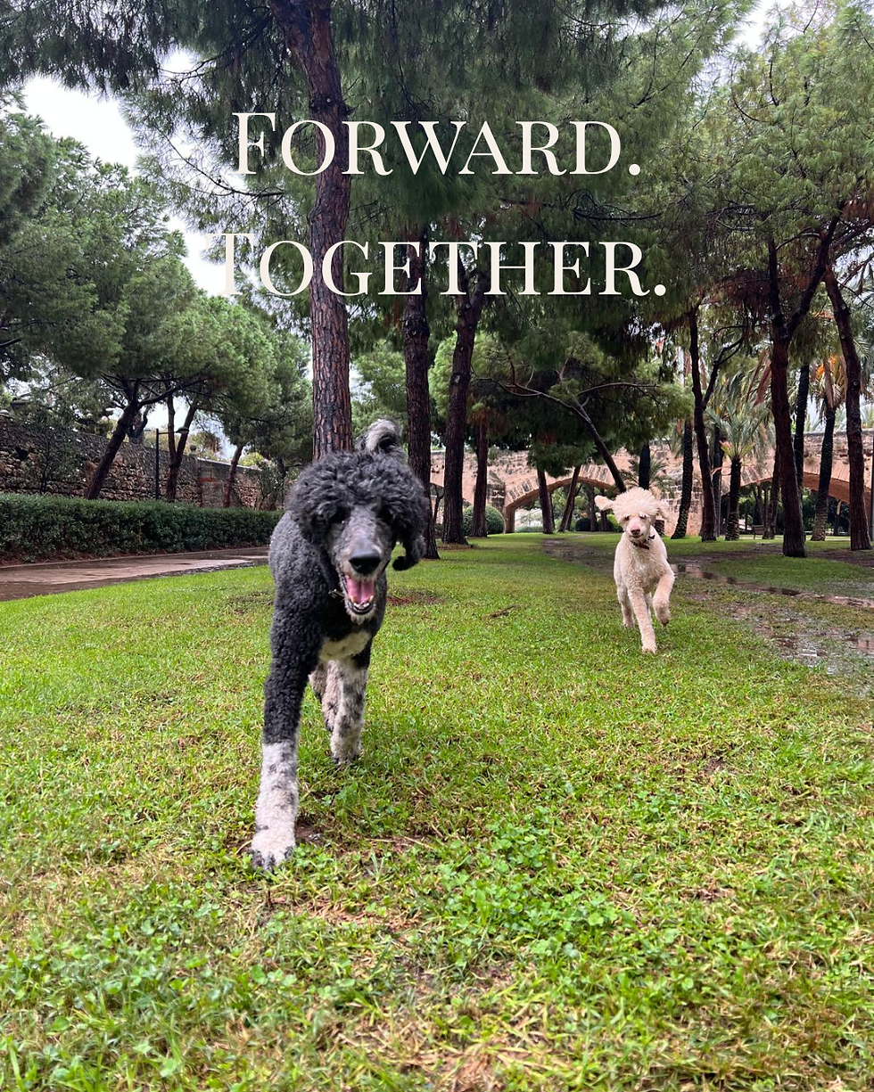 As this year comes to a close