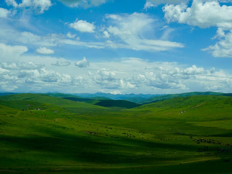 How to Be a Beginner (Possibly the most important thing youāll read today! š)