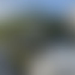 建築に溶け込む自然素材の庭