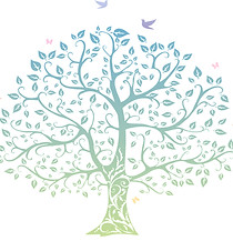 1_oab-logo_edited.jpg