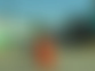 Cruce seguro para los habitantes y estudiantes de la Col. Emiliano Zapata