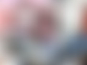 Encuentro de simpatizantes de la Alianza en Porthos con candidatos