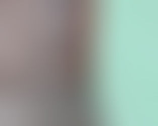 Sobras de comida a animales