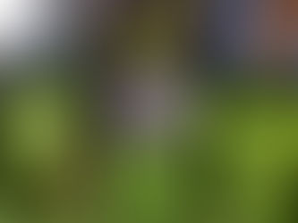 Basura donde no corresponde