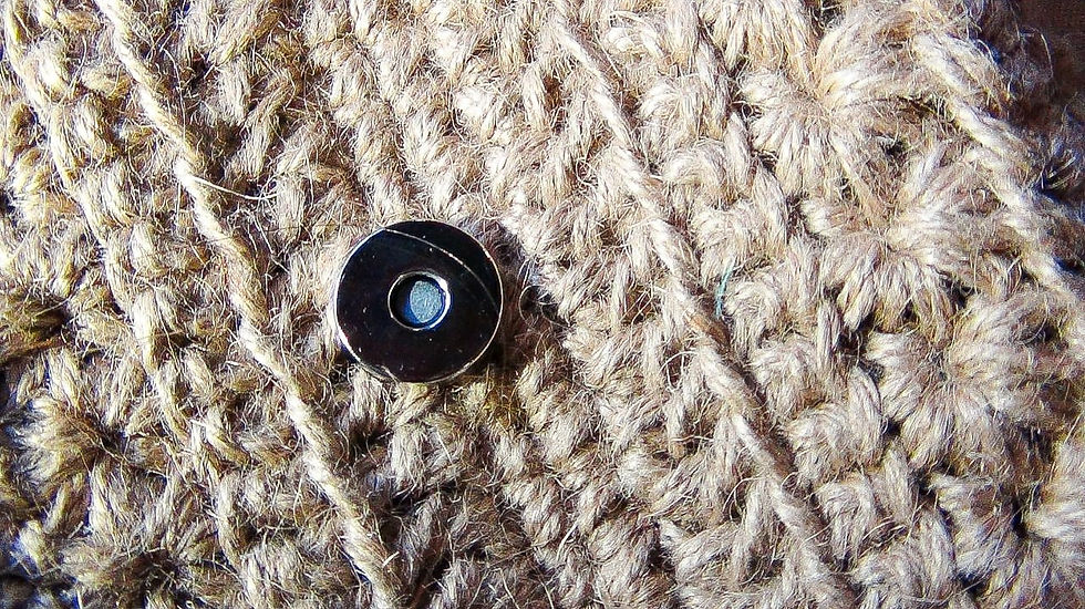 Miniatura: BAGEV08